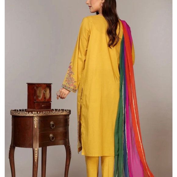 Pakistani Chinyere 3 pc suite - Picture 3 of 6